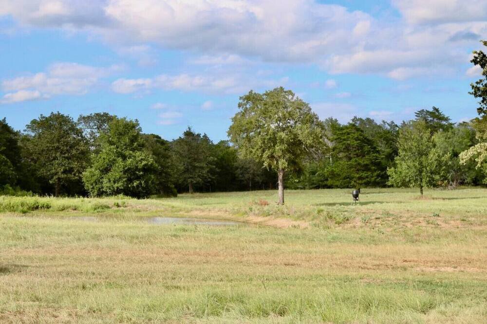 Photo of Others in Smithville