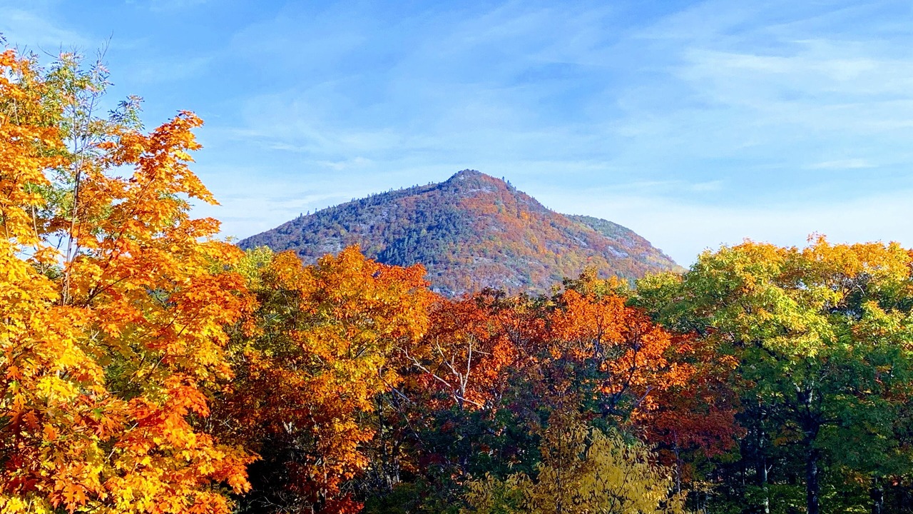 Photo of Bedroom in Wilmington
