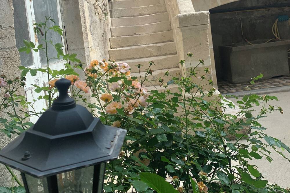 Photo of Outdoor in Cognac