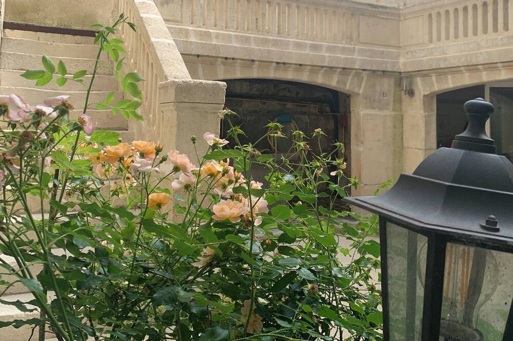 Photo of Others in Cognac