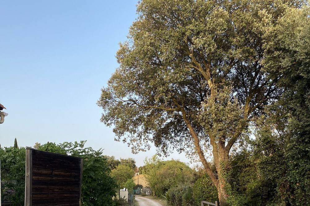 Photo of Outdoor in Cabrials