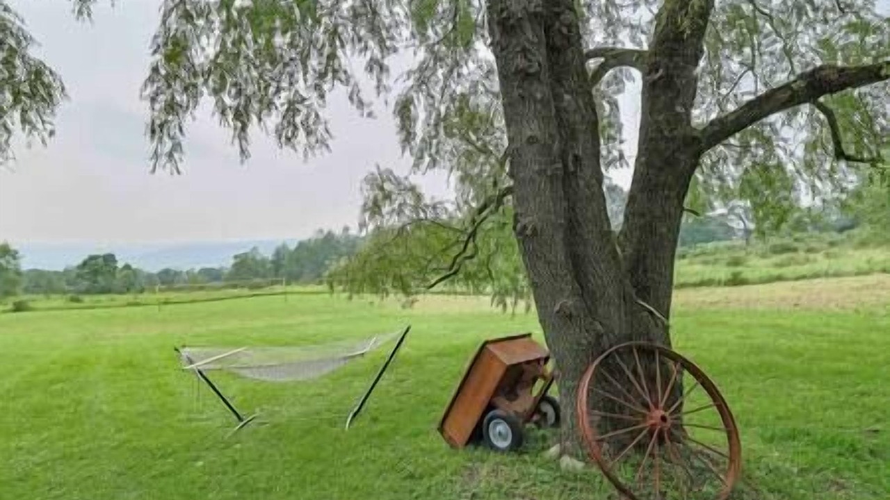 Photo of Outdoor in Livingston Manor
