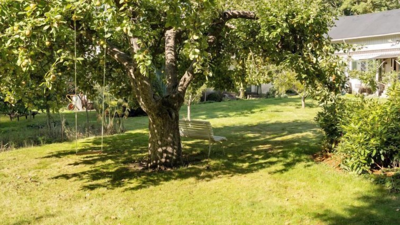 Photo of Outdoor in Tranekaer
