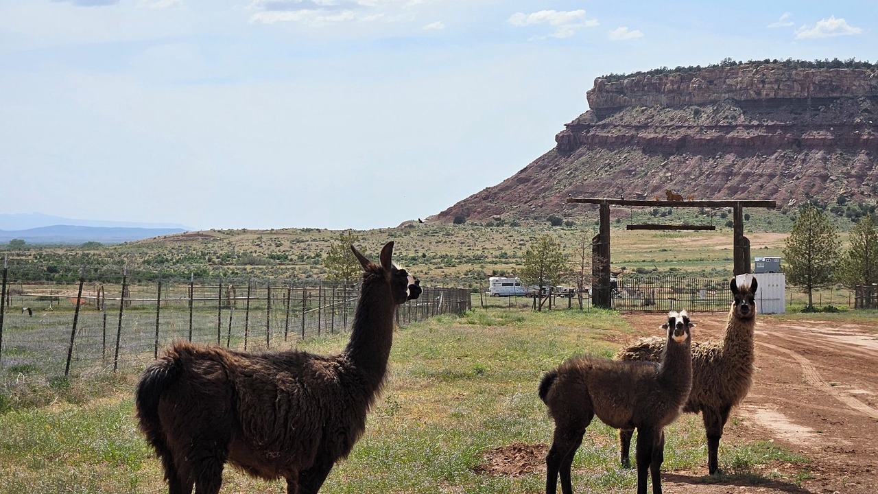 Photo of Outdoor in Apple Valley