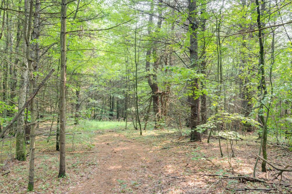 Photo of Outdoor in Owego