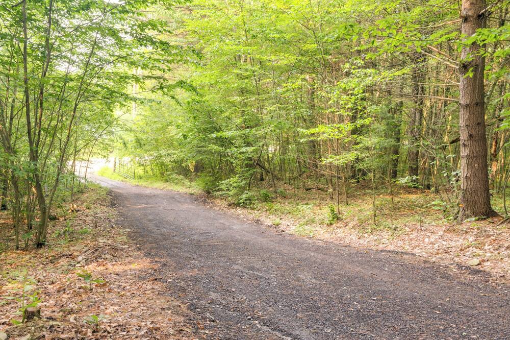 Photo of Outdoor in Owego