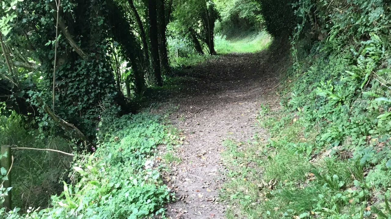 Photo of Outdoor in Triqueville