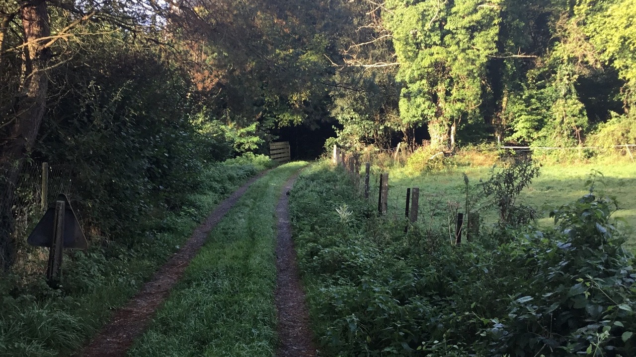 Photo of Outdoor in Triqueville