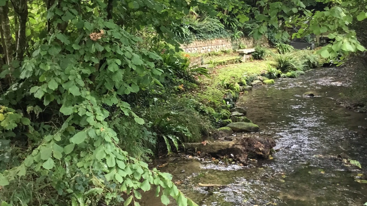 Photo of Others in Triqueville