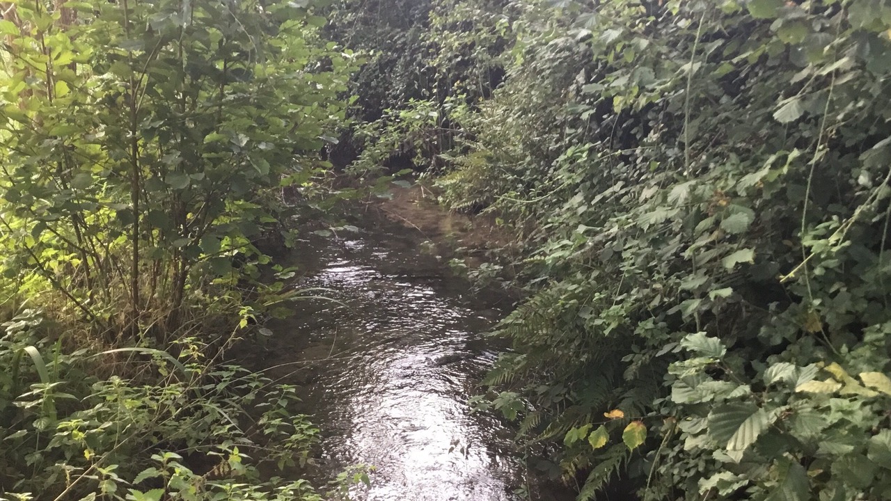 Photo of Outdoor in Triqueville