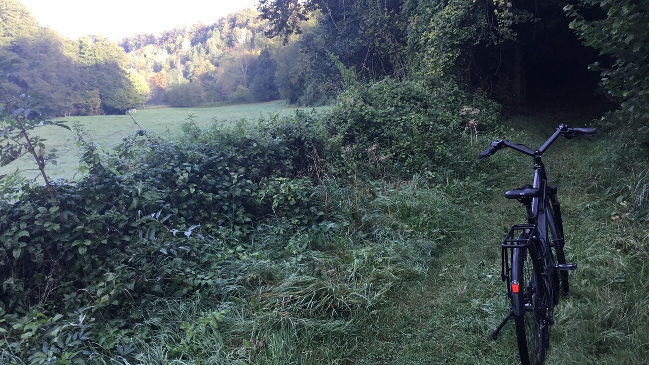 Photo of Outdoor in Triqueville