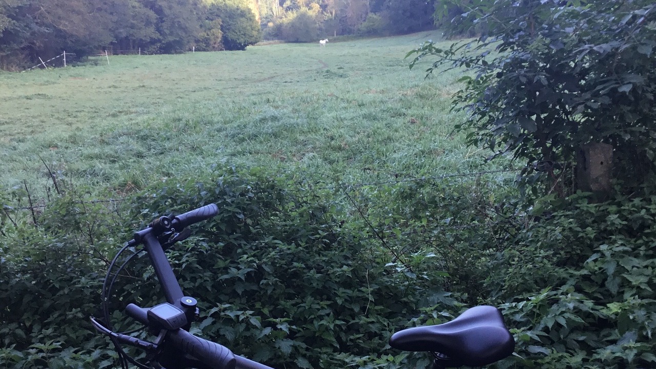 Photo of Outdoor in Triqueville