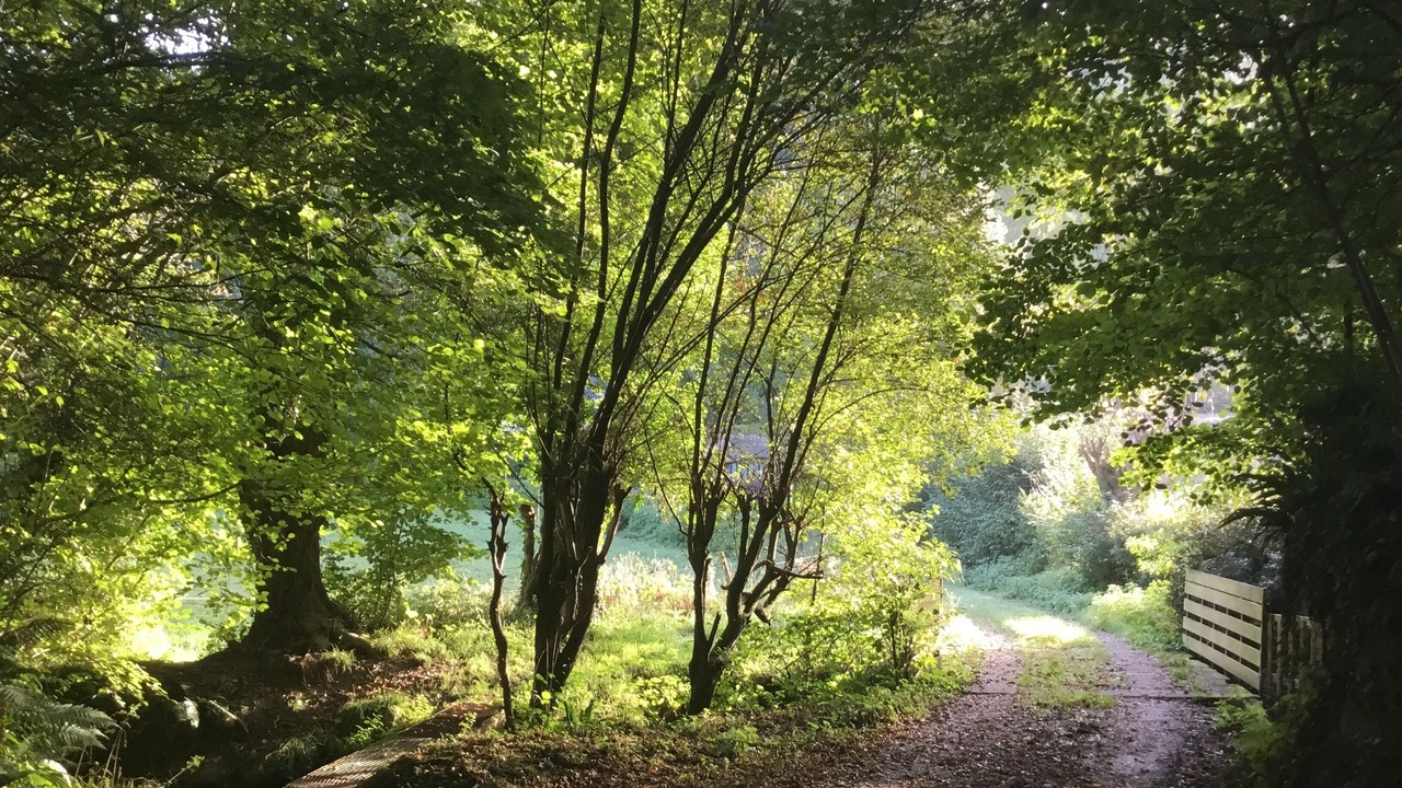 Photo of Outdoor in Triqueville