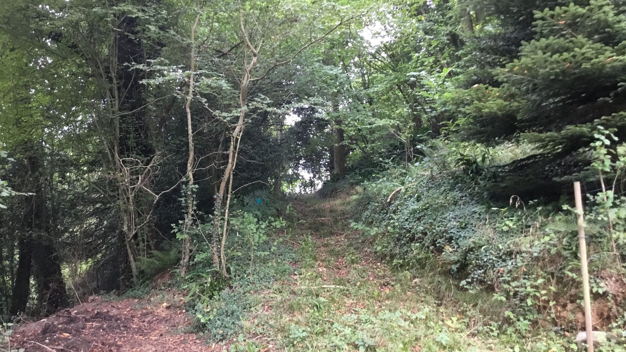 Photo of Outdoor in Triqueville