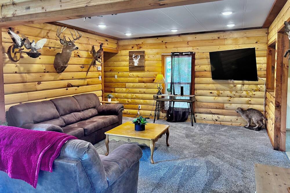 Photo of Livingroom in Lansing
