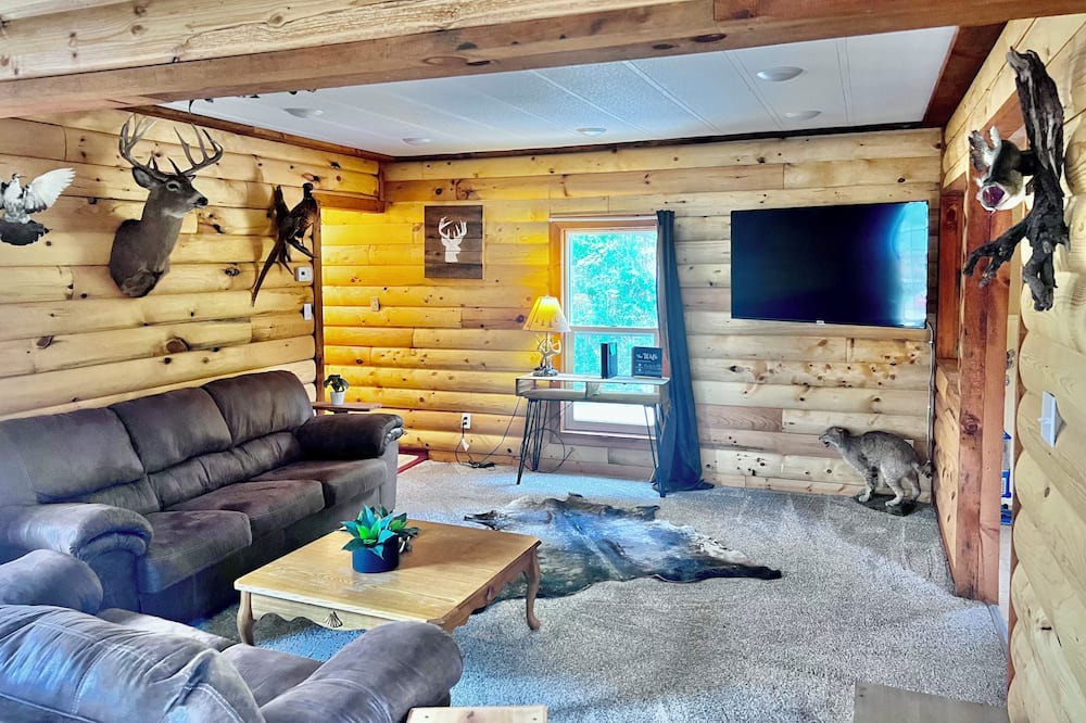 Photo of Livingroom in Lansing