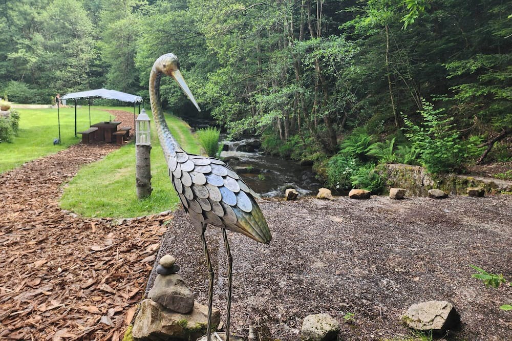 Photo of Outdoor in Egliseneuve-des-Liards