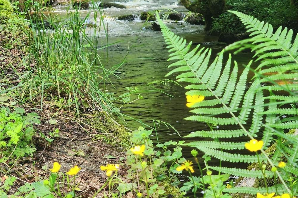 Photo of Outdoor in Egliseneuve-des-Liards