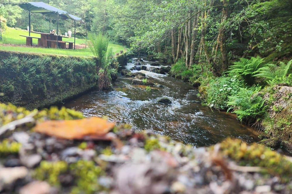 Photo of Outdoor in Egliseneuve-des-Liards