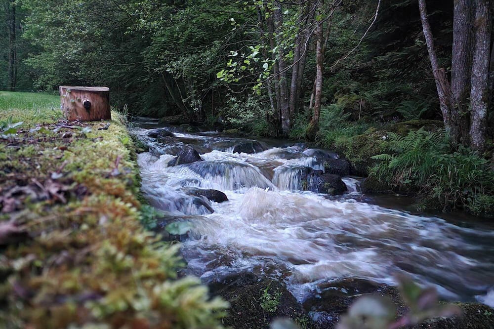 Photo of Outdoor in Egliseneuve-des-Liards