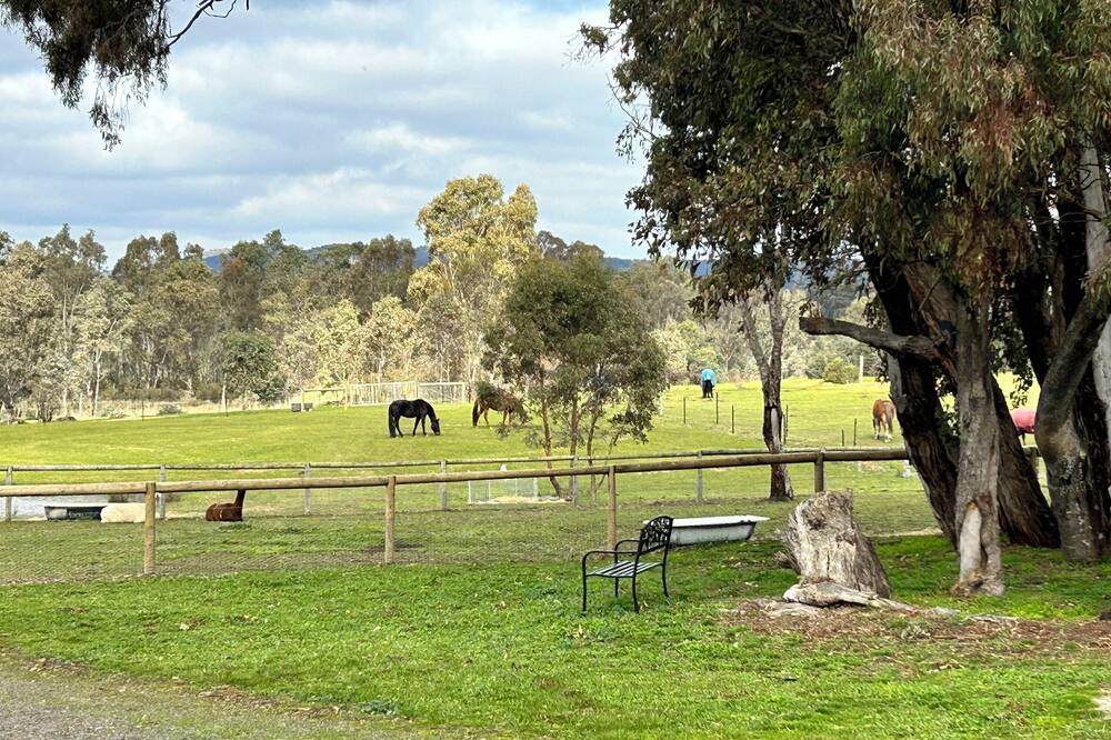 Photo of Outdoor in Heathcote