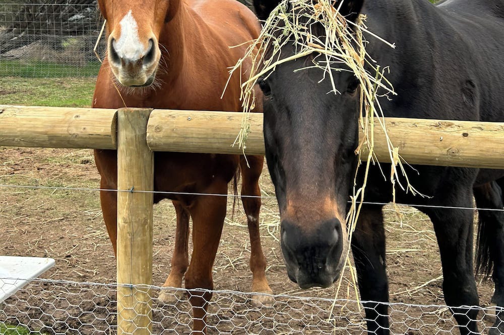 Photo of Outdoor in Heathcote