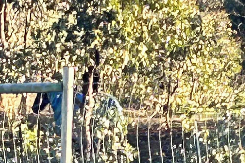 Photo of Others in Heathcote