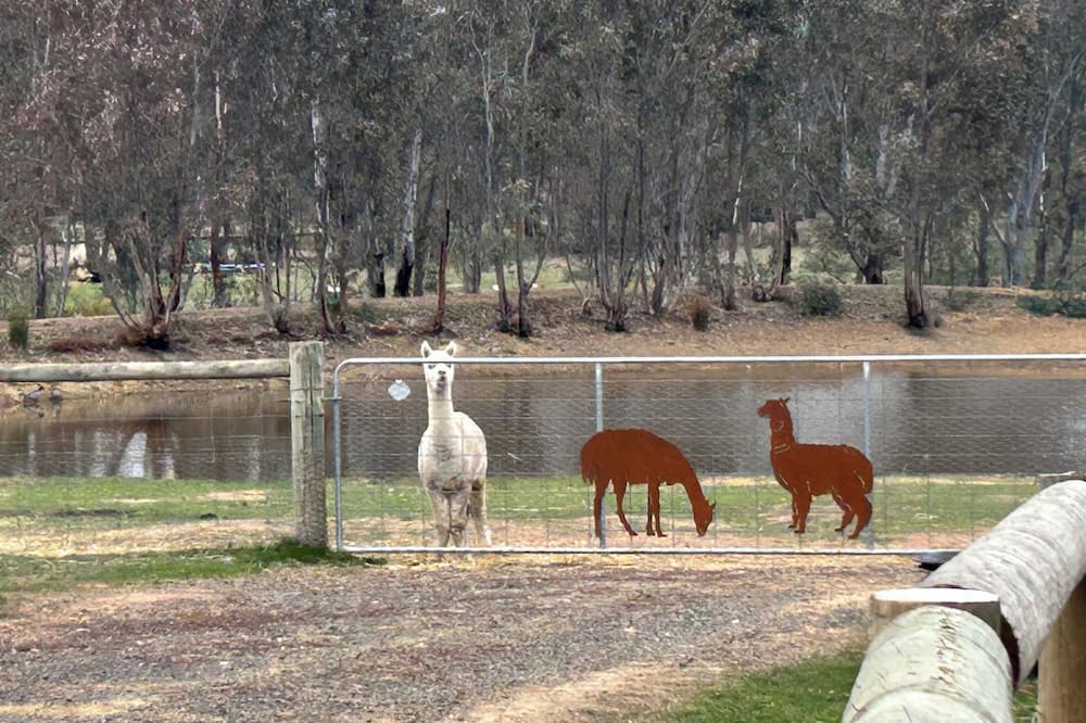 Photo of Outdoor in Heathcote