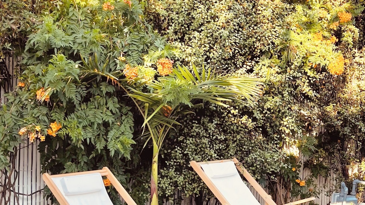 Photo of Outdoor in Marina del Rey