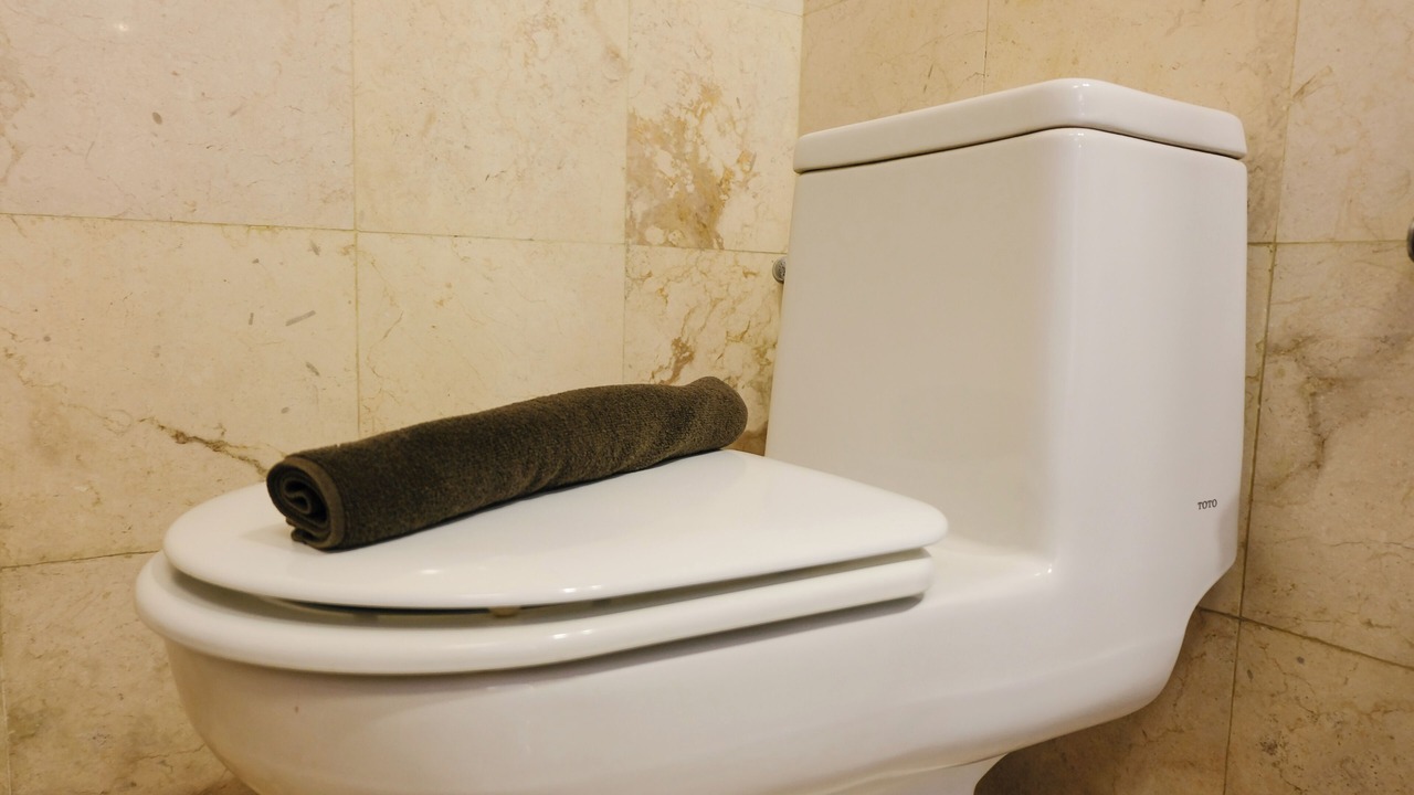 Photo of Bathroom in Braga