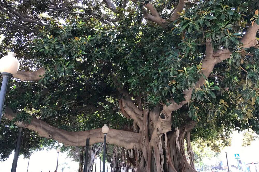Photo of Outdoor in San Anton