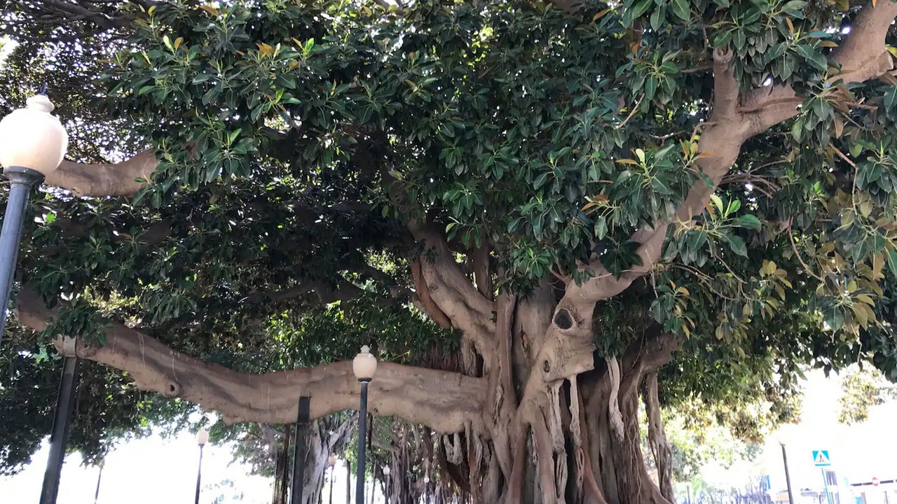 Photo of Outdoor in San Anton