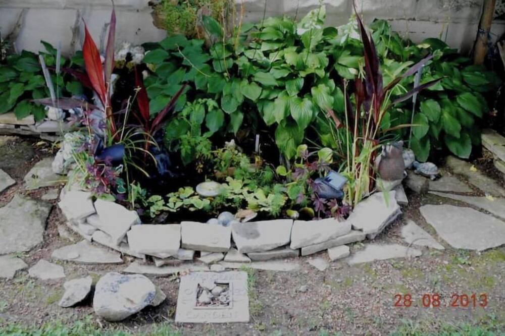 Photo of Outdoor in Walkerton