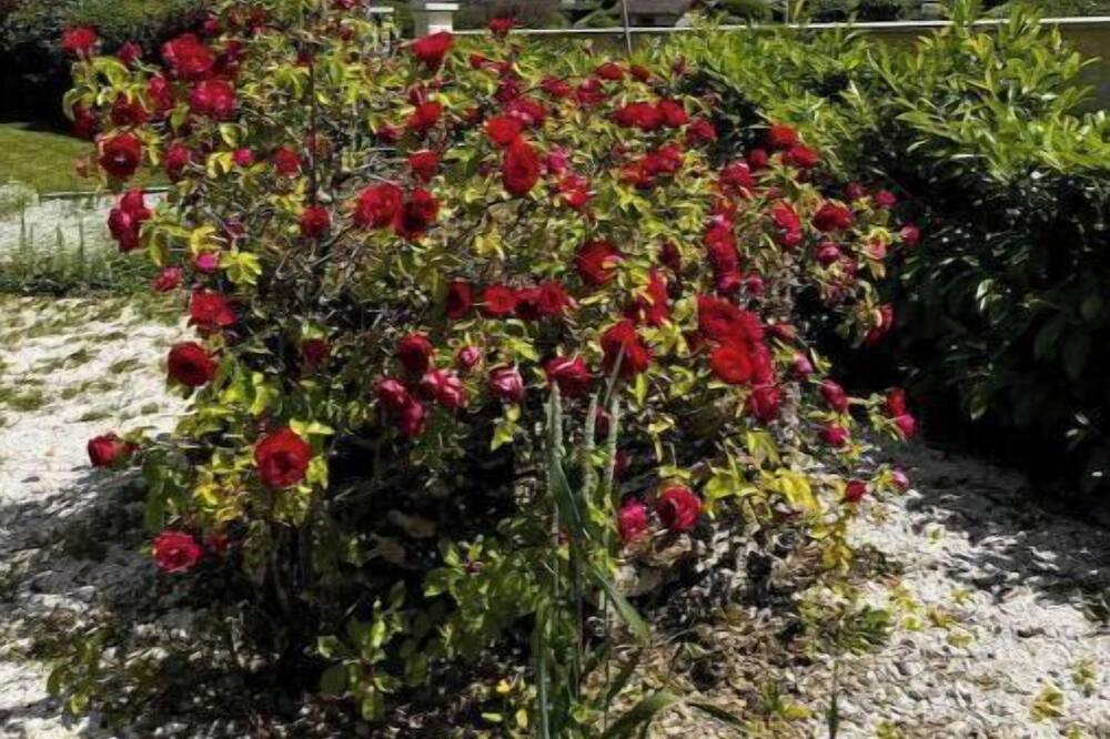 Photo of Outdoor in Les Essarts-les-Sezanne