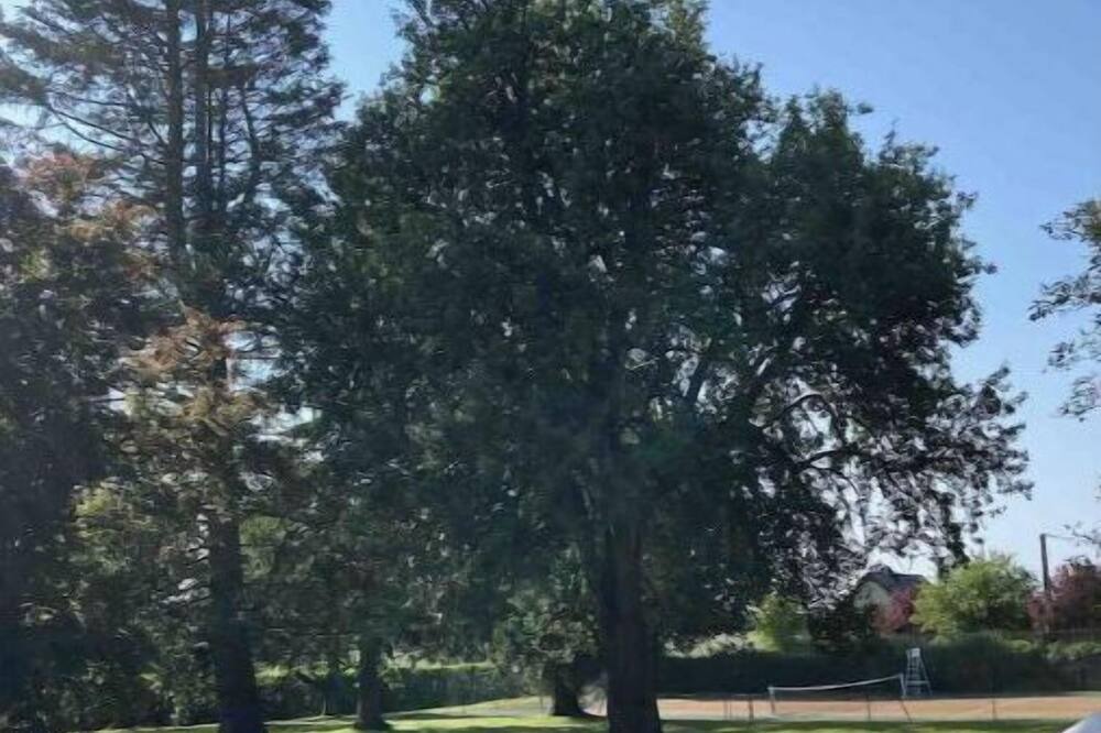 Photo of Outdoor in Les Essarts-les-Sezanne