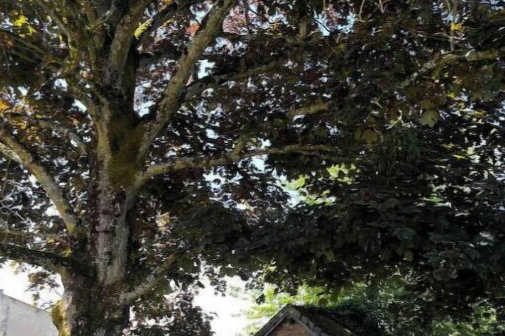 Photo of Outdoor in Les Essarts-les-Sezanne