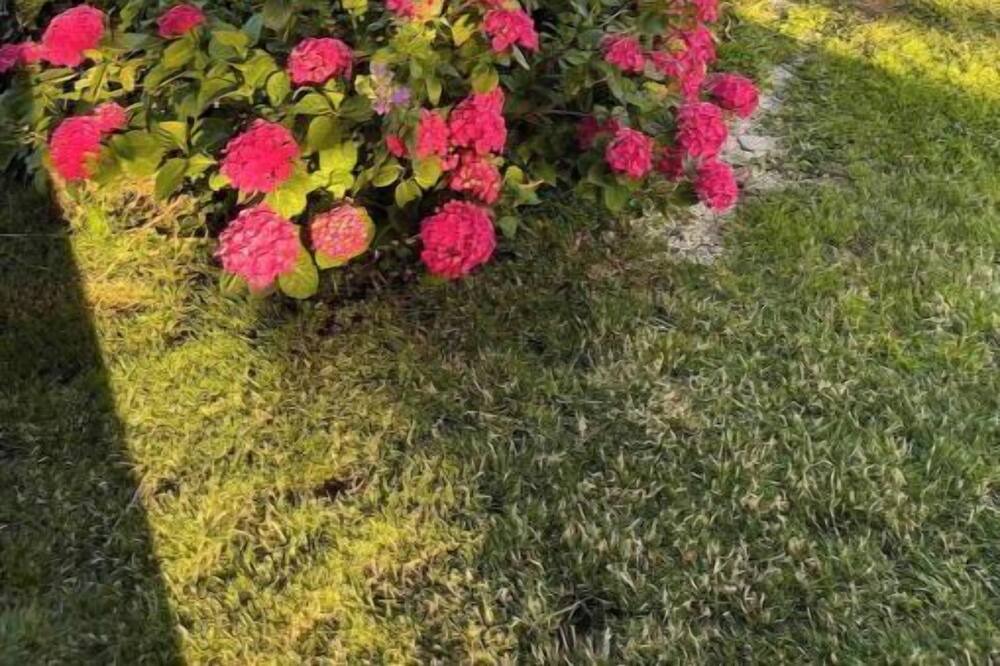 Photo of Outdoor in Les Essarts-les-Sezanne