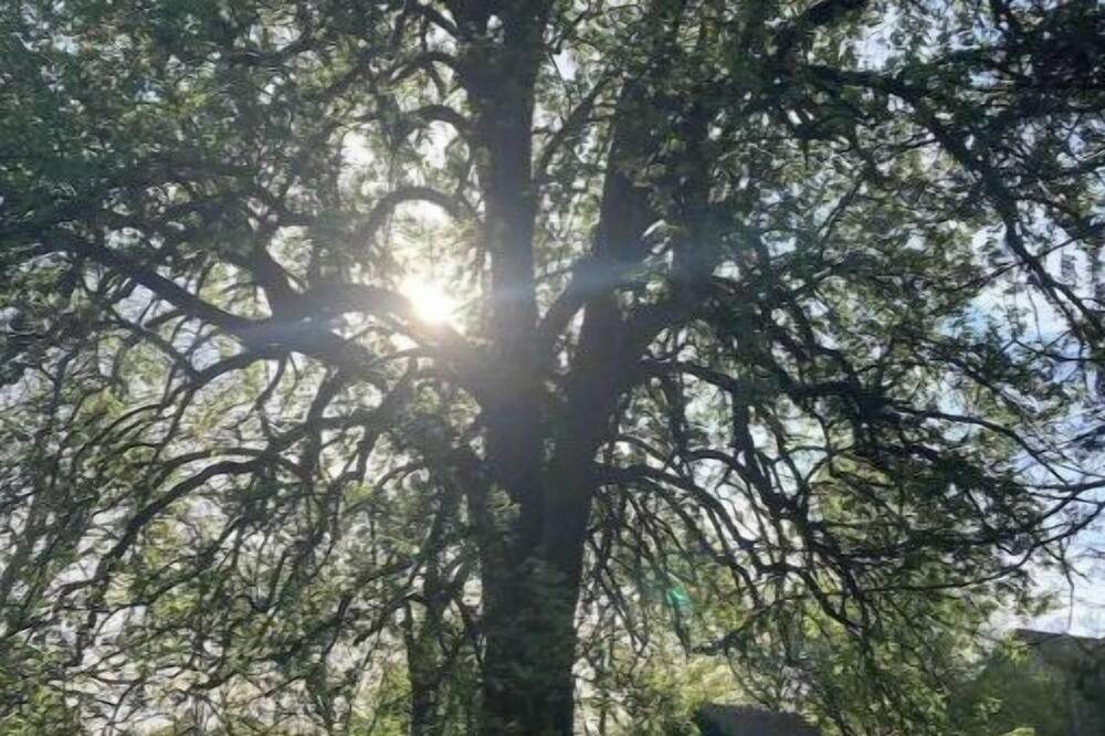 Photo of Outdoor in Les Essarts-les-Sezanne