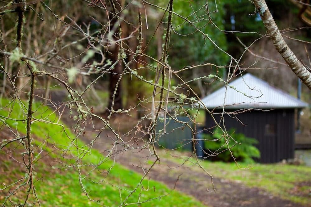 Photo of Others in Skenes Creek North