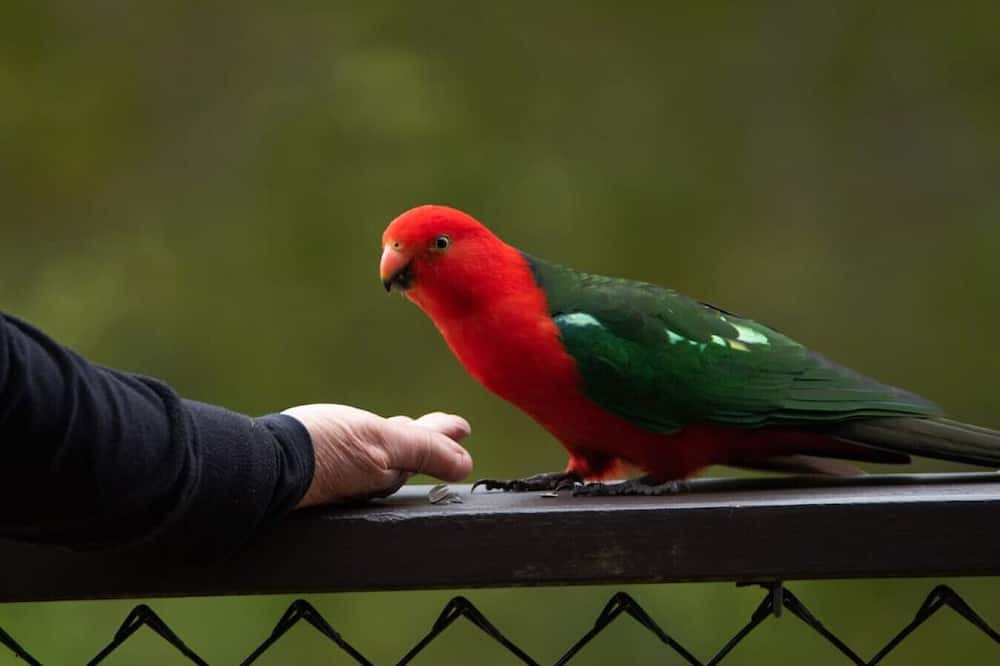 Photo of Others in Skenes Creek North