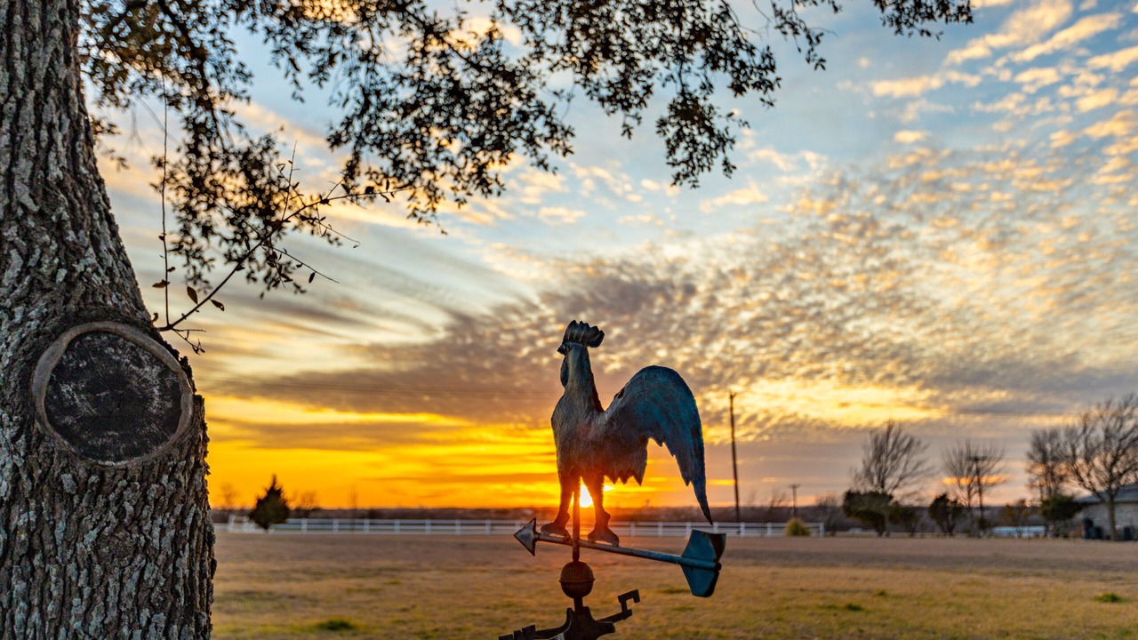 Photo of Outdoor in Hutto