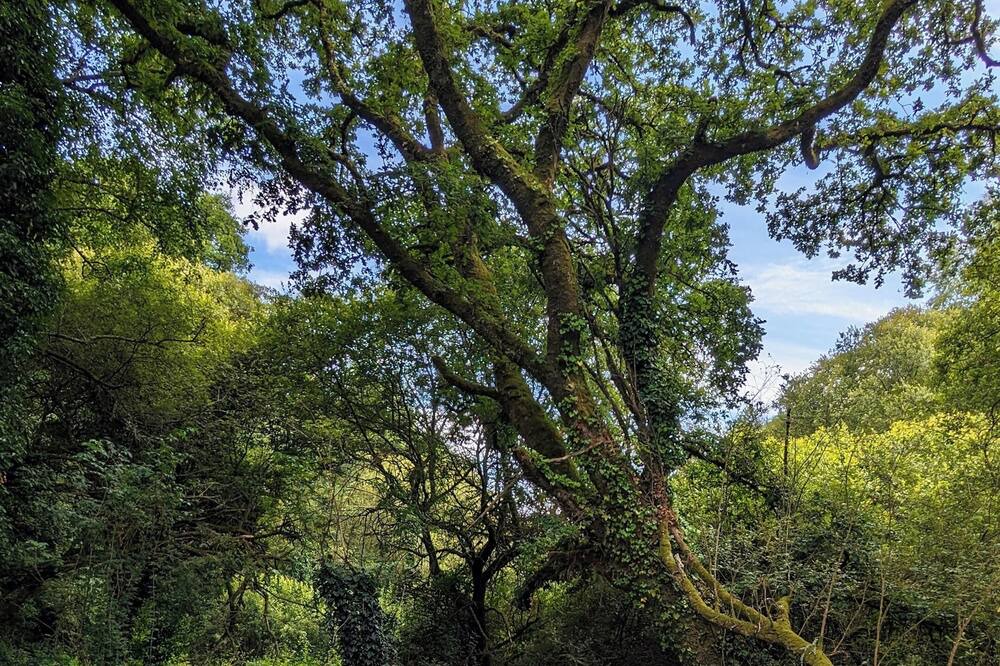 Photo of Outdoor in Inzinzac-Lochrist