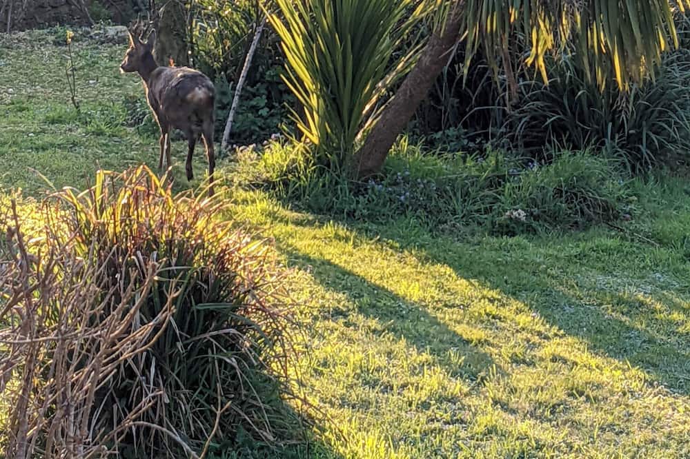 Photo of Outdoor in Inzinzac-Lochrist