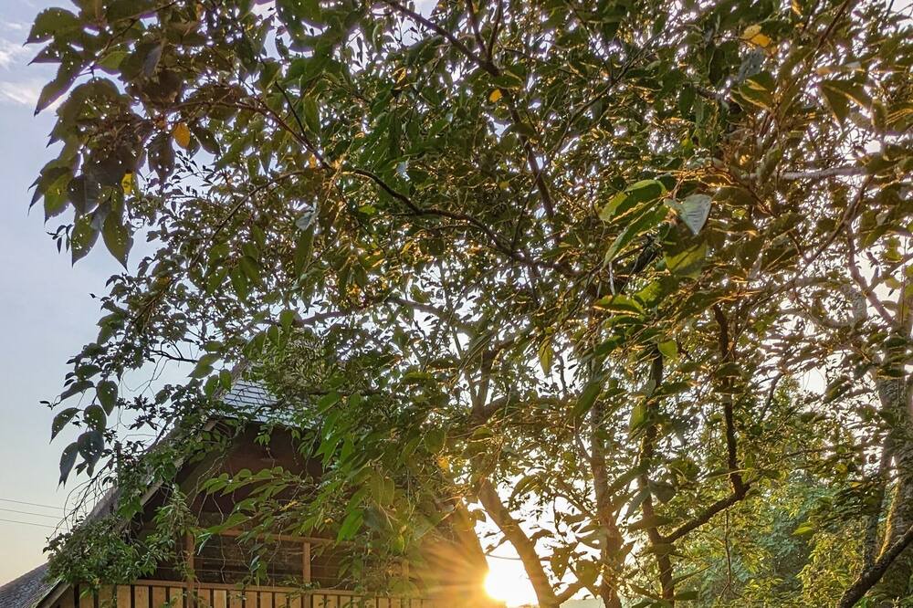 Photo of Others in Inzinzac-Lochrist