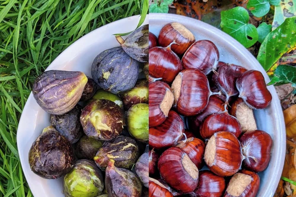 Photo of Others in Inzinzac-Lochrist