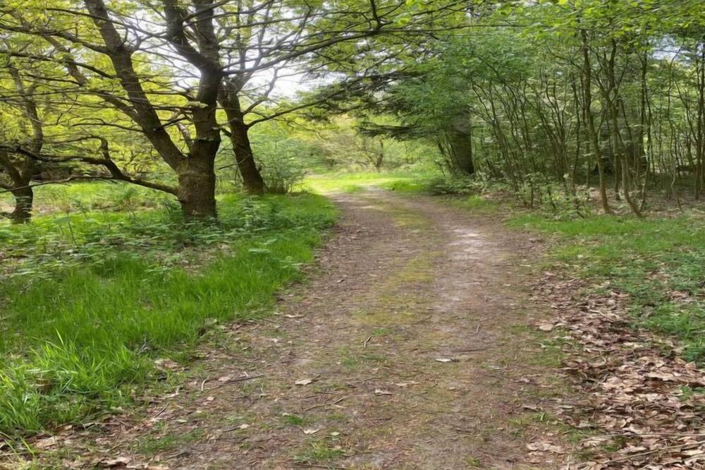 Photo of Outdoor in Ertebølle