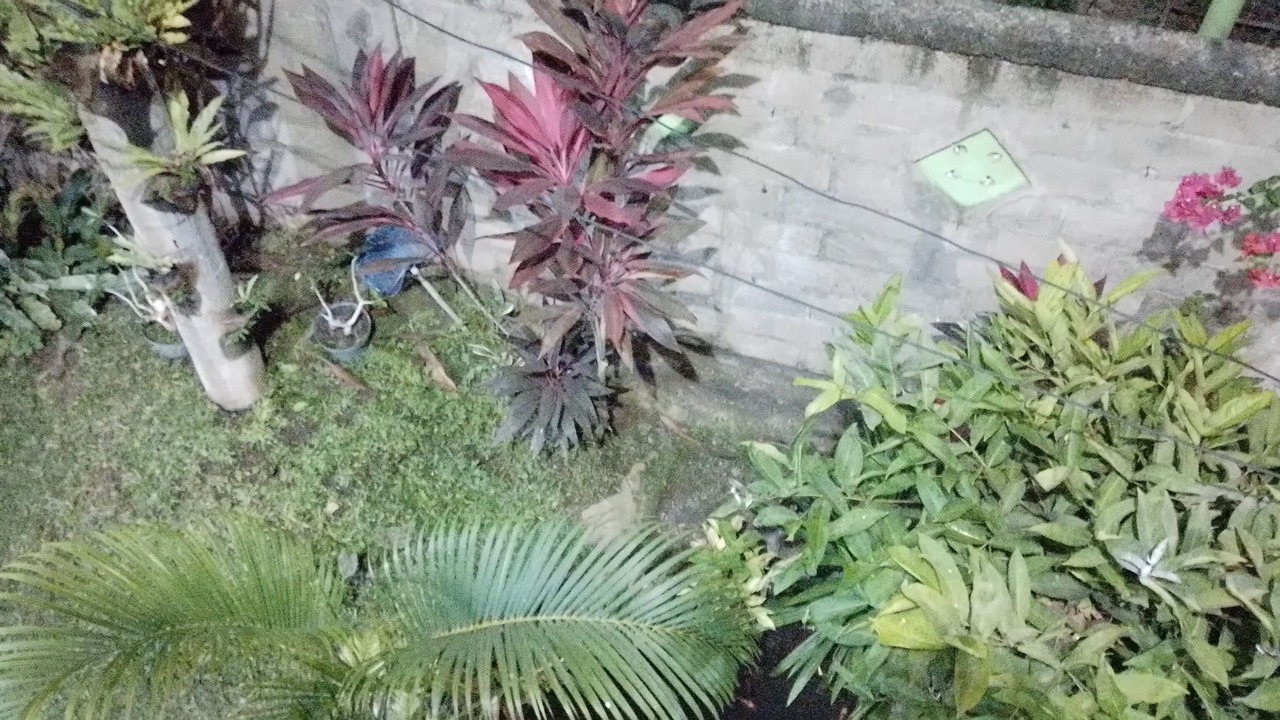 Photo of Outdoor in Kalipuro