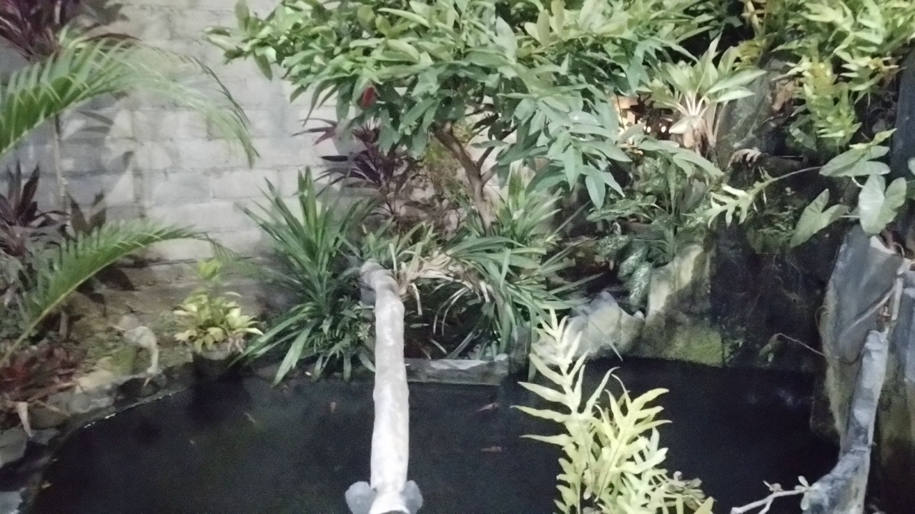 Photo of Outdoor in Kalipuro