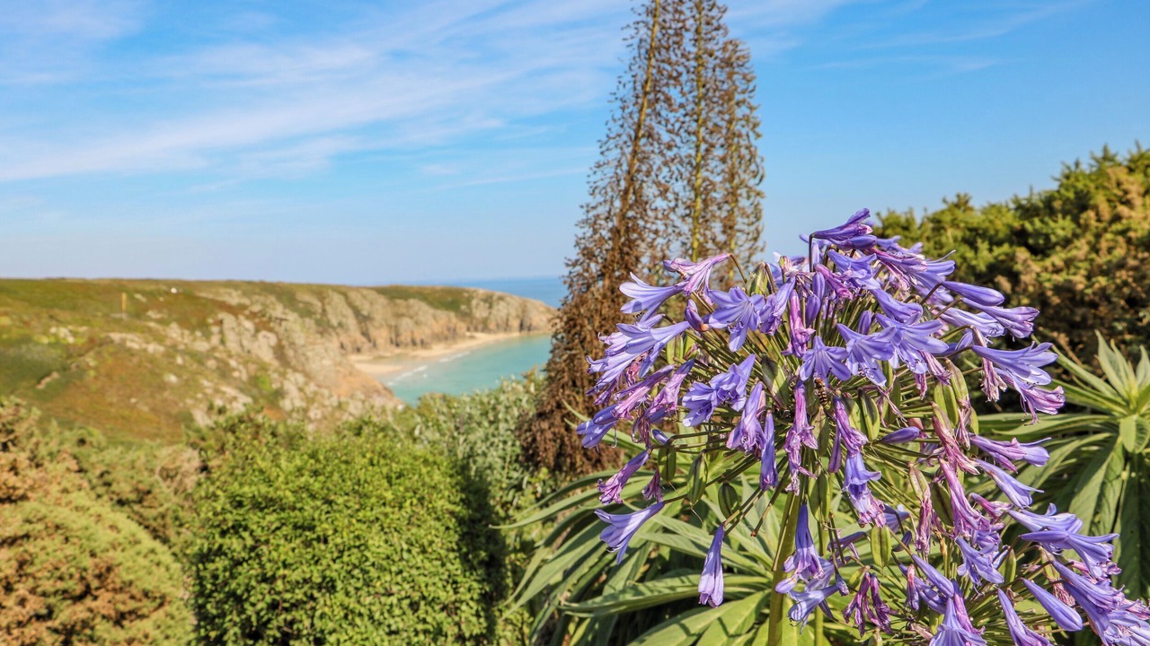 Photo of Others in Chysauster