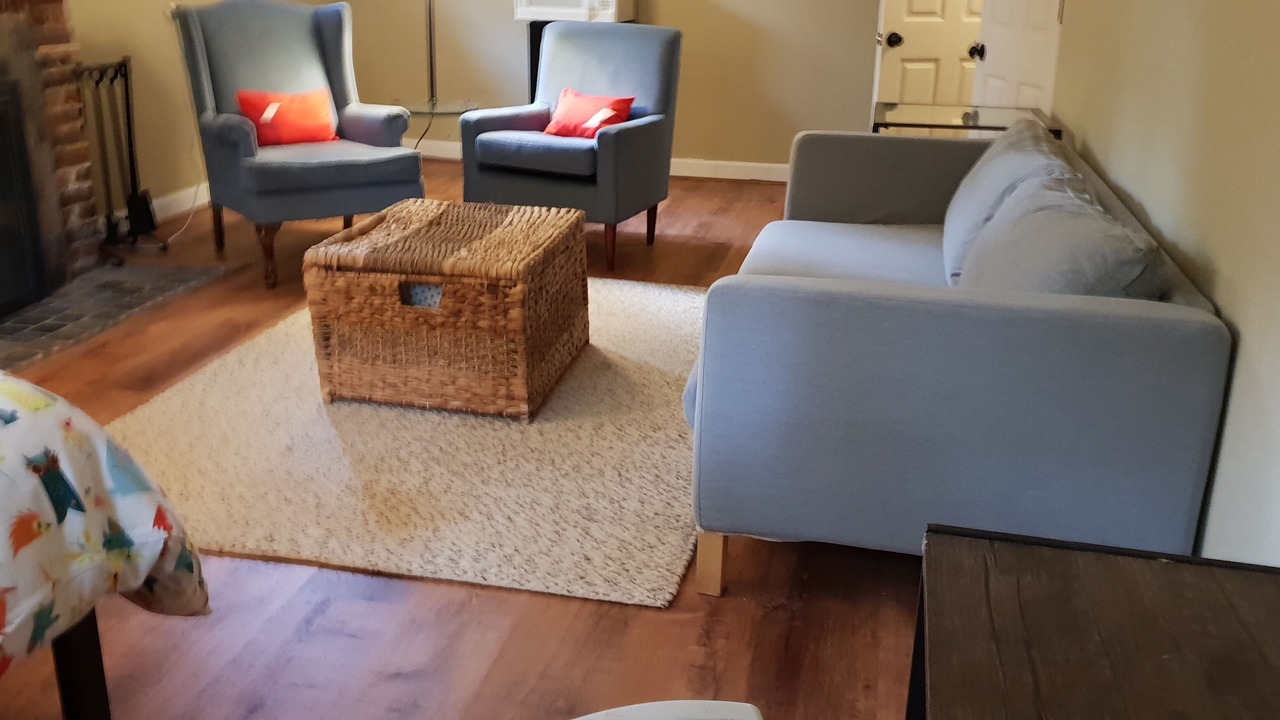 Photo of Livingroom in University City